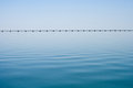 A Distant Bridge