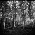 Untitled-6_dpc.jpg