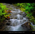 Driftwood Canyon 