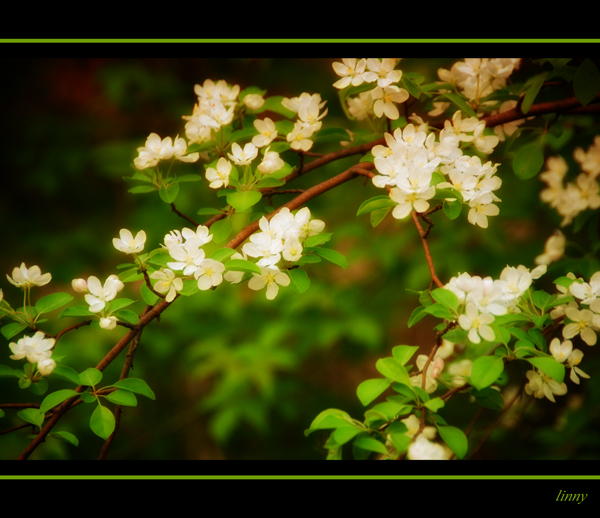 the first signs of spring