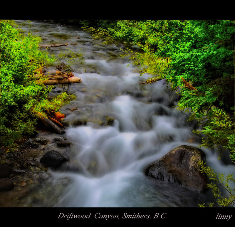 Driftwood Canyon 