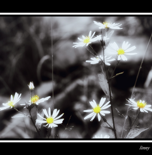A touch of yellow