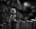 Conceptual Indentity