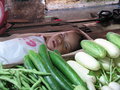 Found in the cabbage patch
