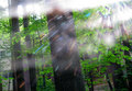 Web of Light