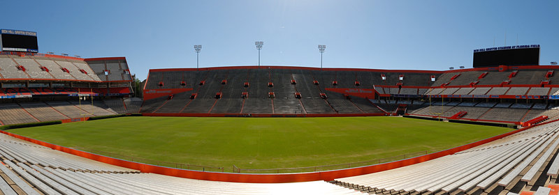 The Swamp