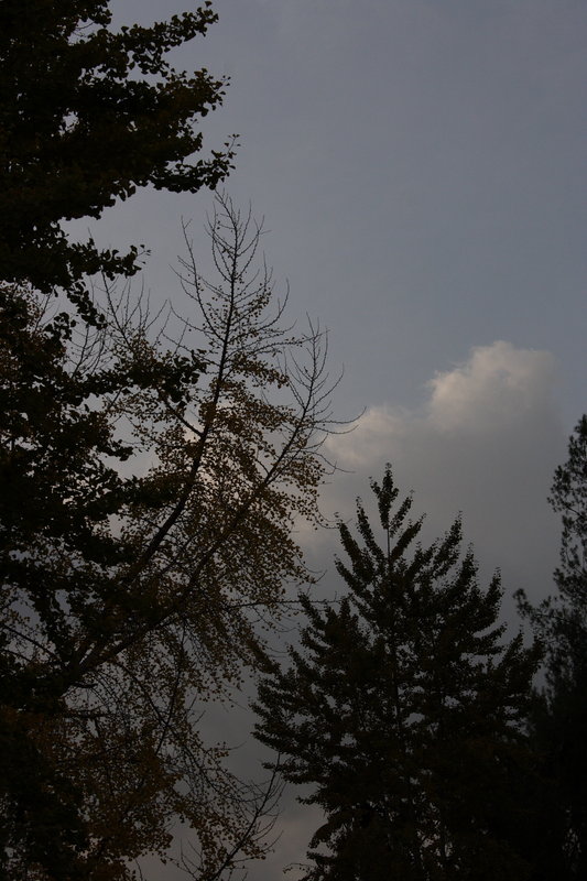 120808c 01.JPG