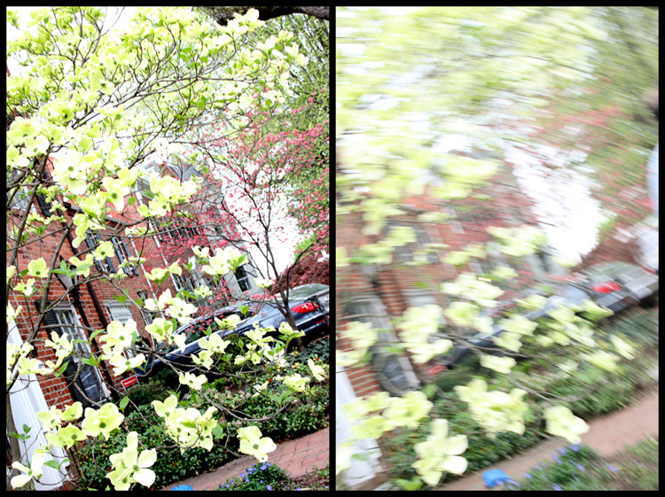 georgetowndiptych-orig.jpg