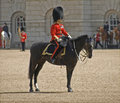 Officer on horseback