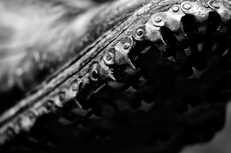 DSC_6937