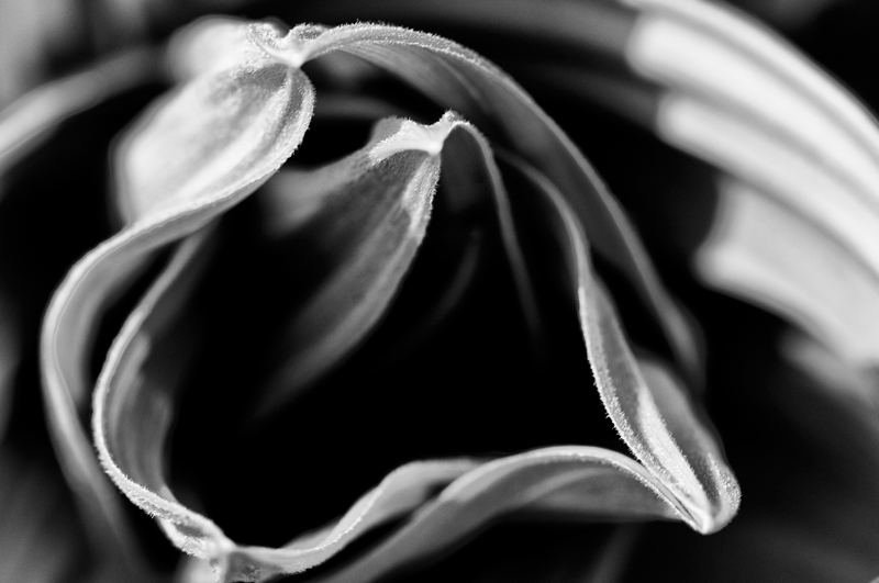 DSC_6825