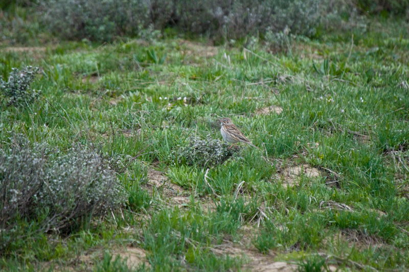 DSC_6072