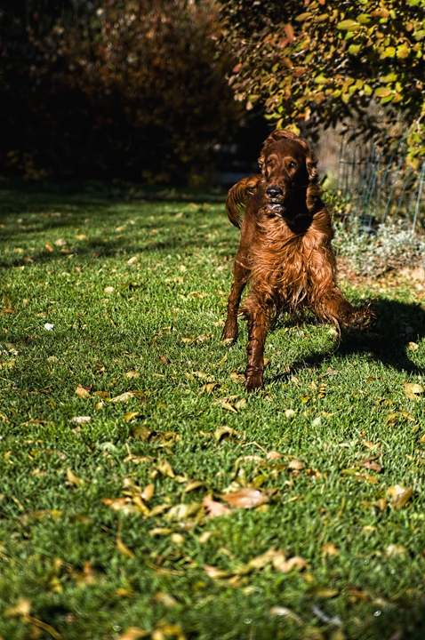 Full of energy
