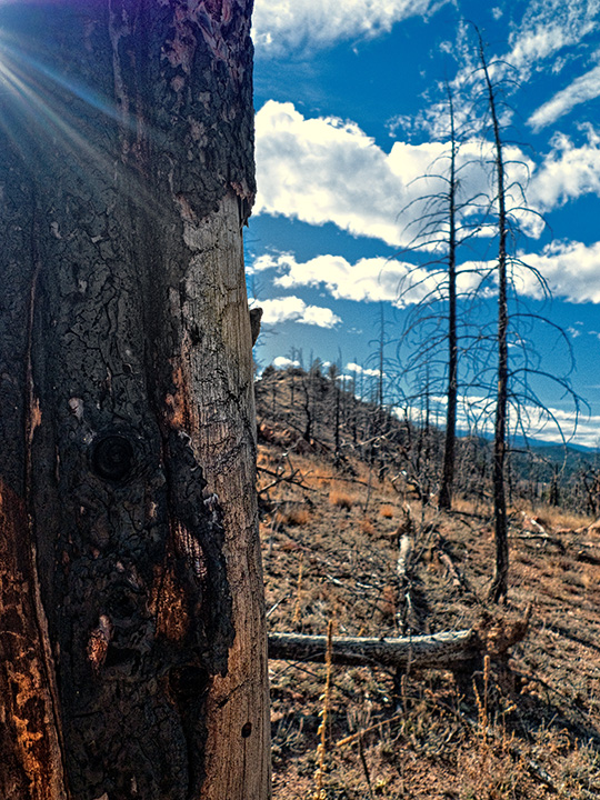 After the fire
