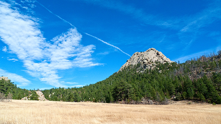 Greyrock meadow