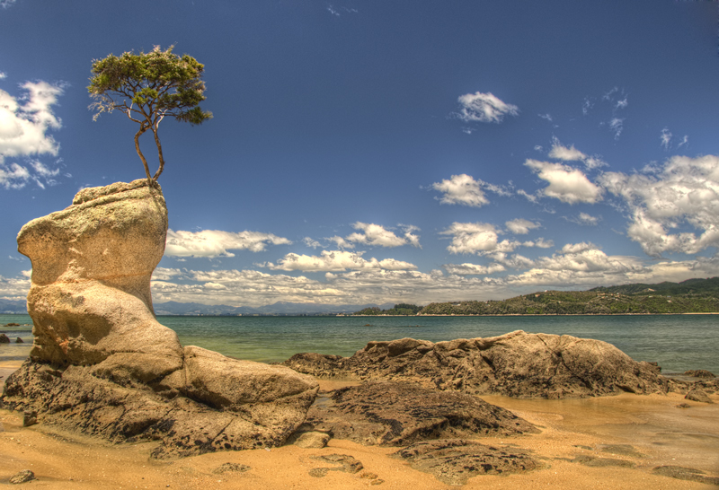 Abel Tasman Track