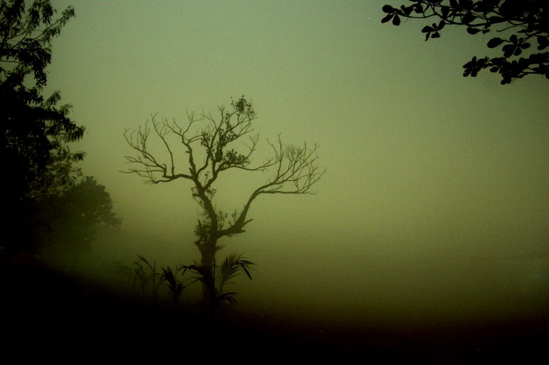 Stranger in a Strange Land