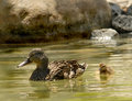 Mother-&-Child.jpg