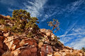 Kaibab IV