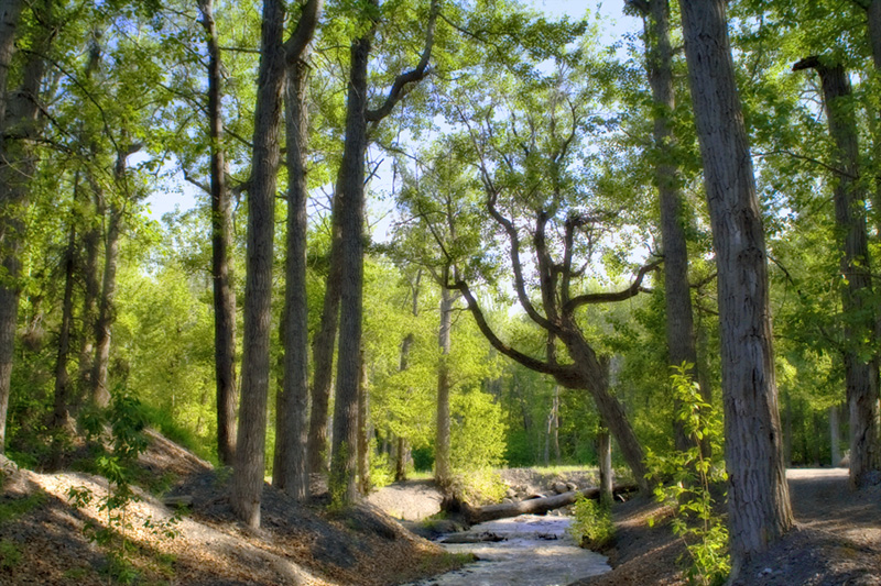 Trail 2