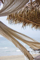 The breeze