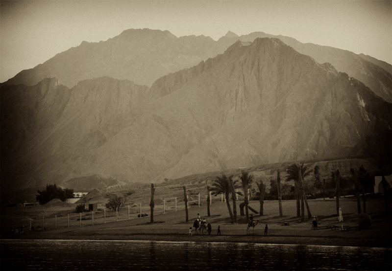 Red Sea 