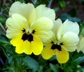 DSC03370.JPG