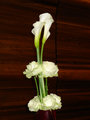 DSC03497.JPG