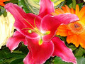 DSC03601.JPG