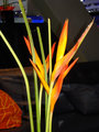 DSC03595.JPG