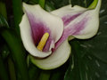 DSC04012.JPG