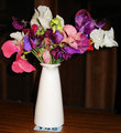 Sweet Peas