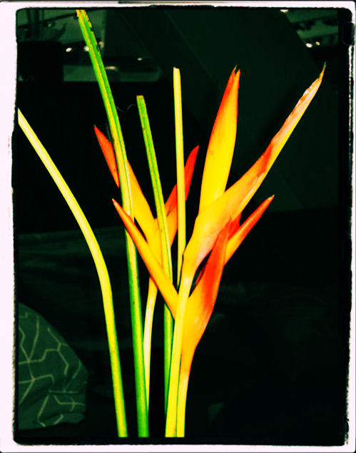 DSC03595playing with layers 1960s.jpg