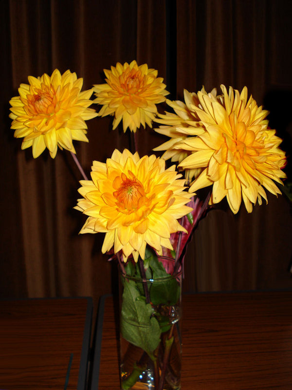 Yellow Flowers