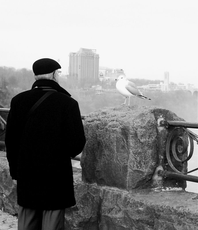 Niagara 
