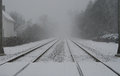 tracks