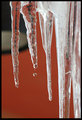 Icicles warming up