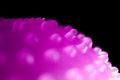 bobbles