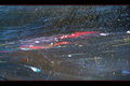 McLaren Paint