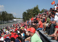 Tifosi
