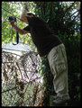 Getting the shot