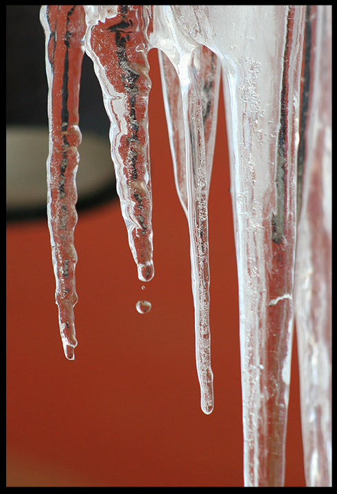 Icicles warming up