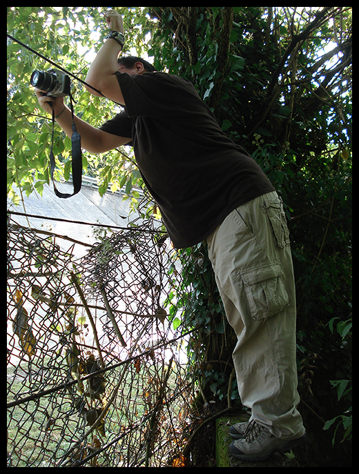 Getting the shot