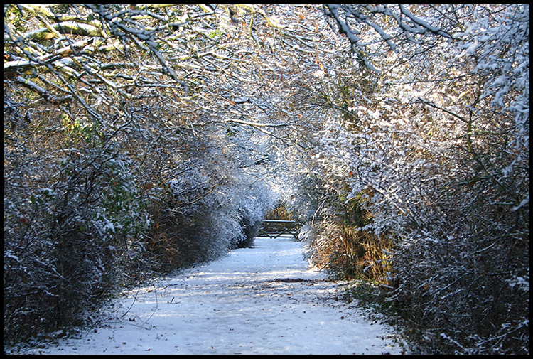 Snow tunnel