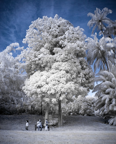 Gardens of Temasek