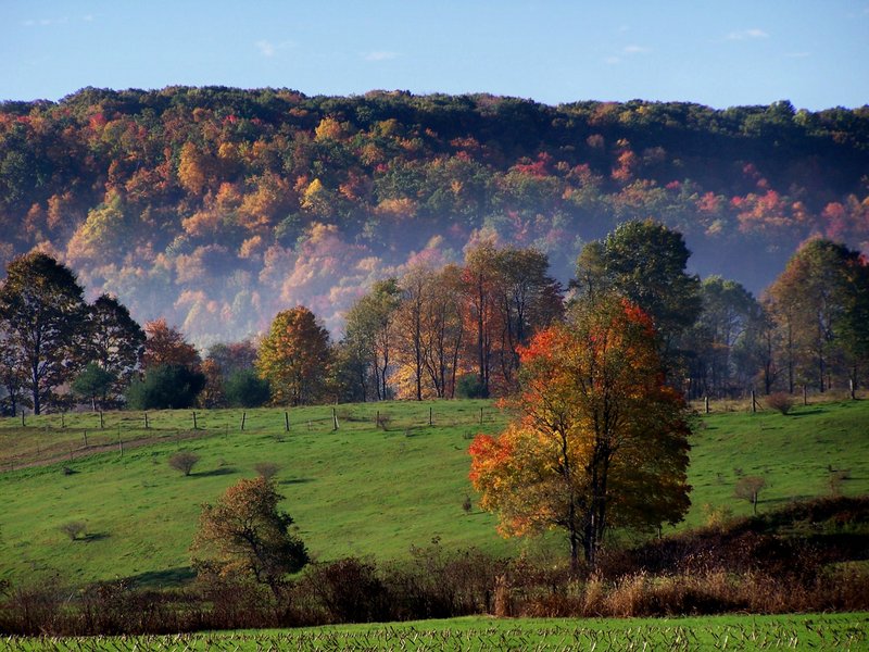 Fall Shot