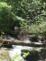 flowing1