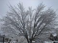 Frozen
