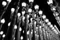 "Urban Lights"