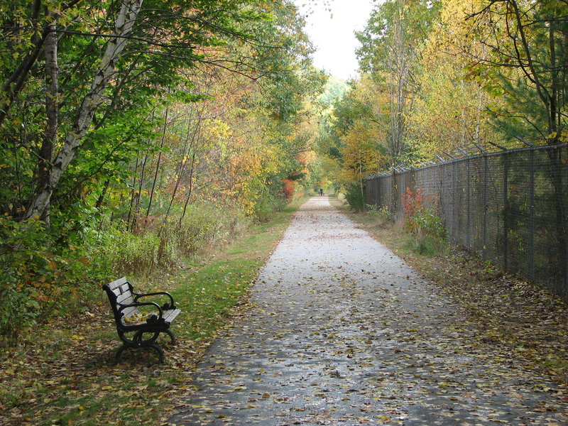 Picture 476.jpg